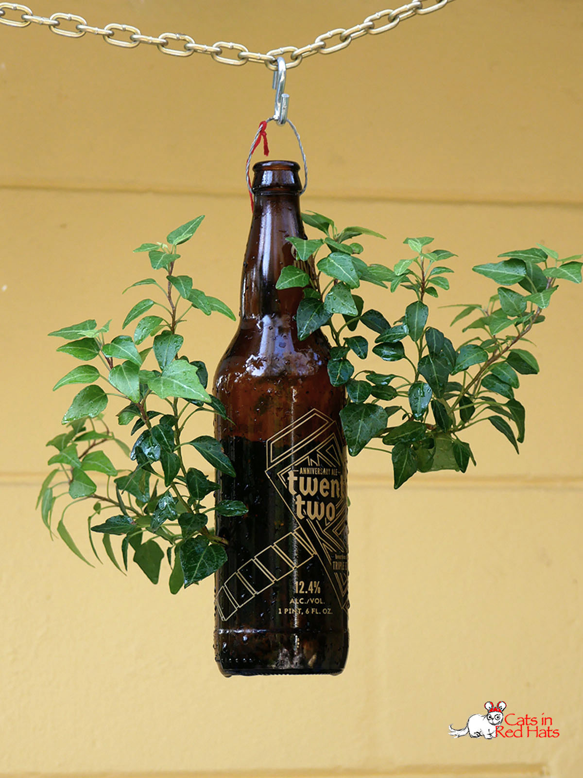 Twenty-Two beer bottle with holes in sides for plants