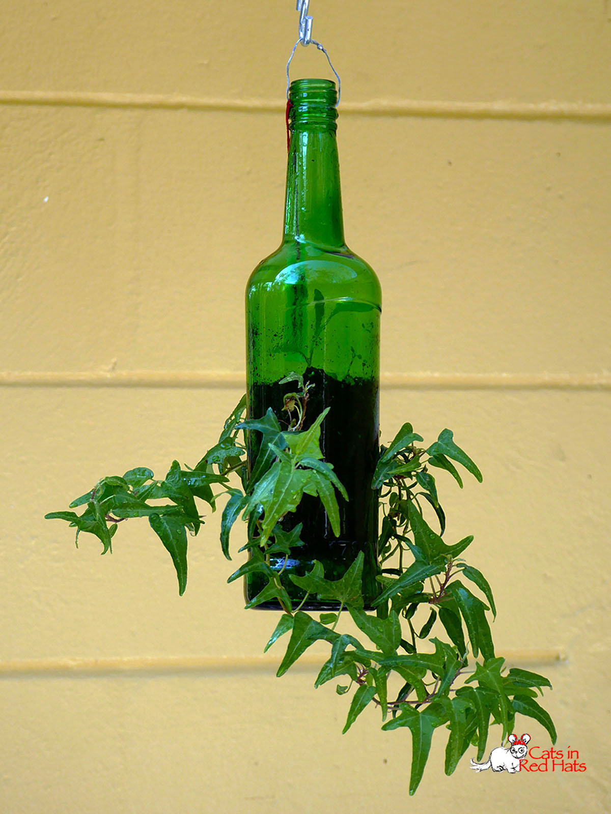 Jameson bottle with holes in sides for plants