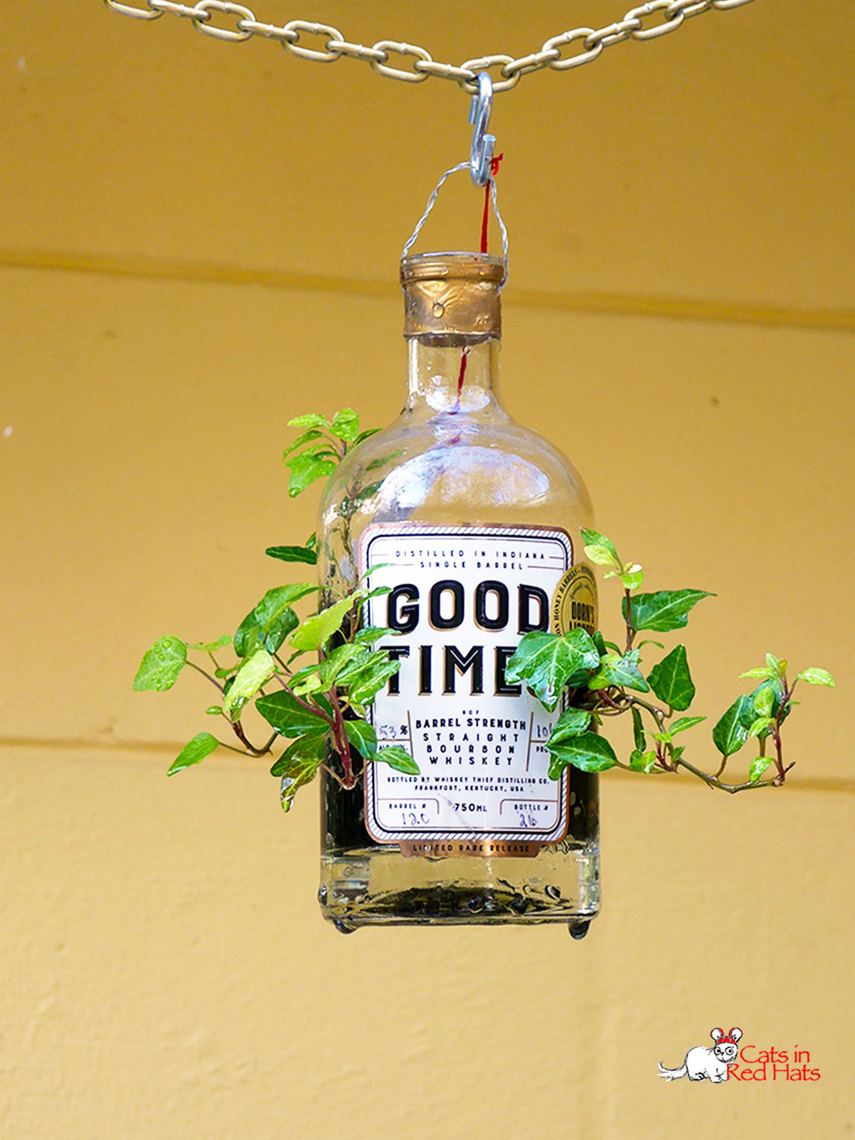 Good Times bottle with holes in sides for plants