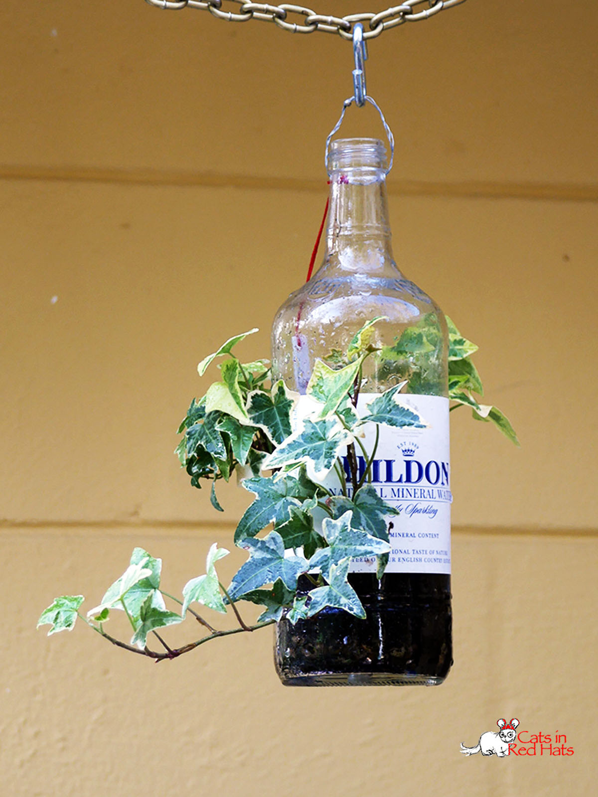 Hildon bottle with holes in sides for plants