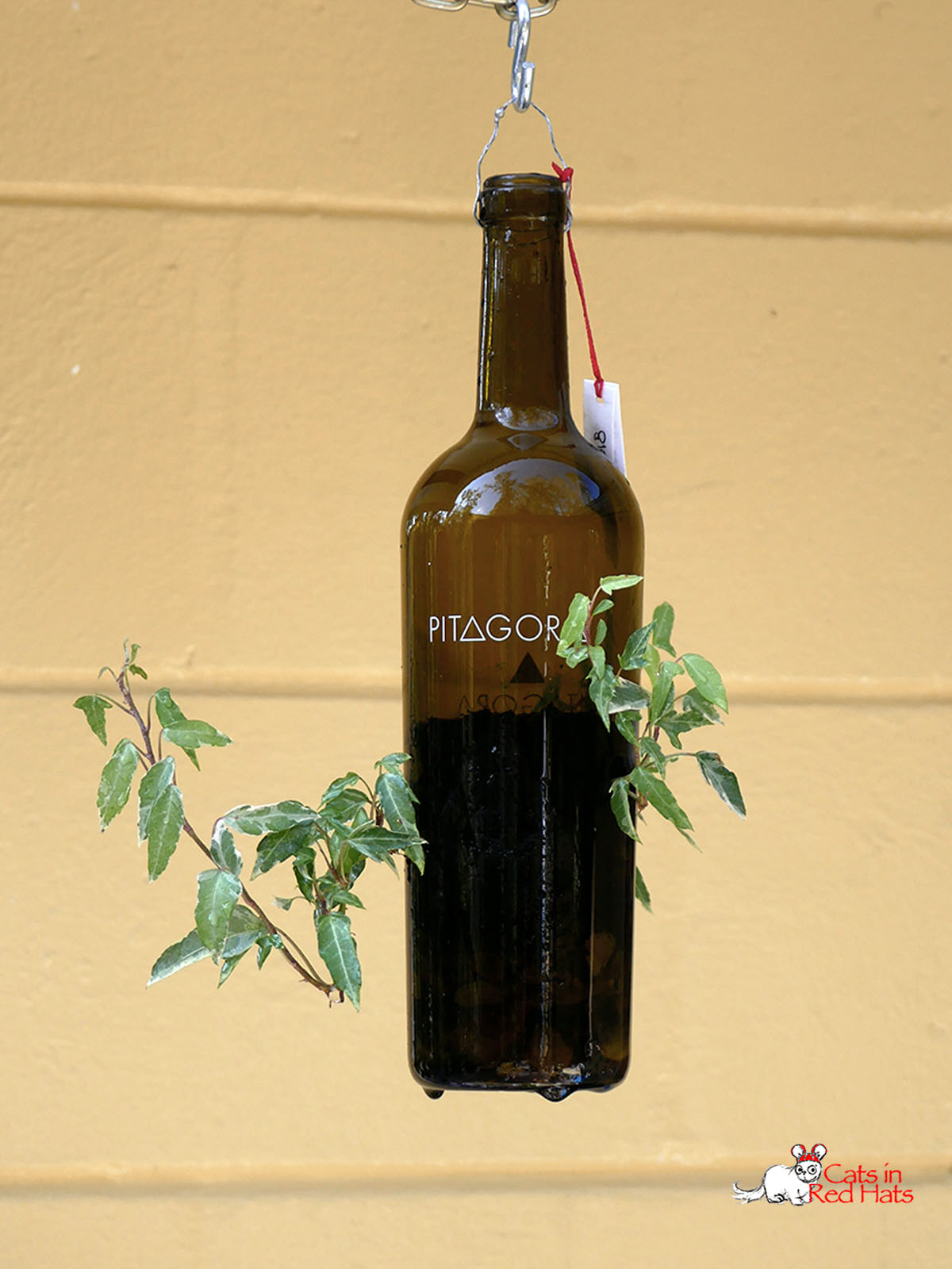 Pitagora wine bottle with holes in sides for plants