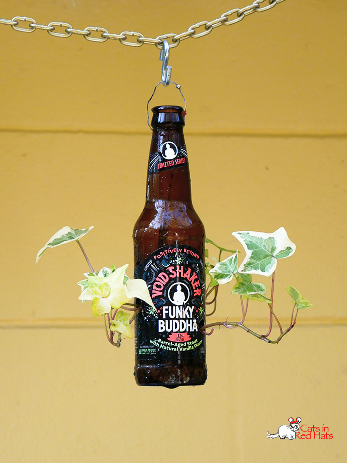 Funky Buddha beer bottle with holes in sides for plants