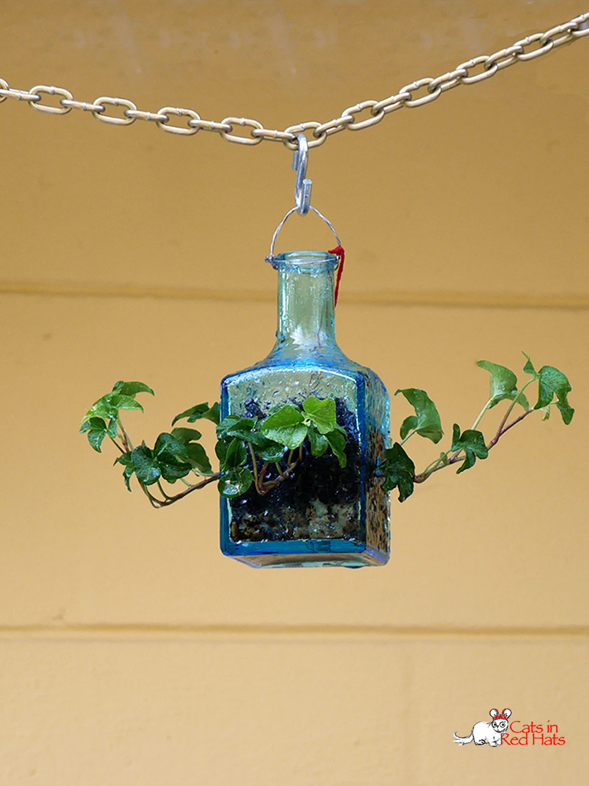 Small blue square cold saki bottle with holes in sides for plants